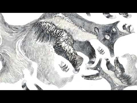 Koza - Nie wiem kto to Kanye West (prod. Jordan x Ozzie)