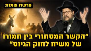 ״משה רבינו וחמורו של משיח״ - הקשר המסתורי לגיוס בני הישיבות | הרב שניאור אשכנזי פרשת שמות (הרב שניאור אשכנזי) - התמונה מוצגת ישירות מתוך אתר האינטרנט יוטיוב. זכויות היוצרים בתמונה שייכות ליוצרה. קישור קרדיט למקור התוכן נמצא בתוך דף הסרטון ״משה רבינו וחמורו של משיח״ - הקשר המסתורי לגיוס בני הישיבות | הרב שניאור אשכנזי פרשת שמות (הרב שניאור אשכנזי) - התמונה מוצגת ישירות מתוך אתר האינטרנט יוטיוב. זכויות היוצרים בתמונה שייכות ליוצרה. קישור קרדיט למקור התוכן נמצא בתוך דף הסרטון