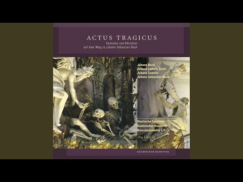 Choralmotette: Unser Leben ist ein Schatten