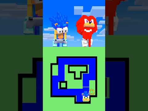 MAZE CHALLENGE With Sonic And Knuckles