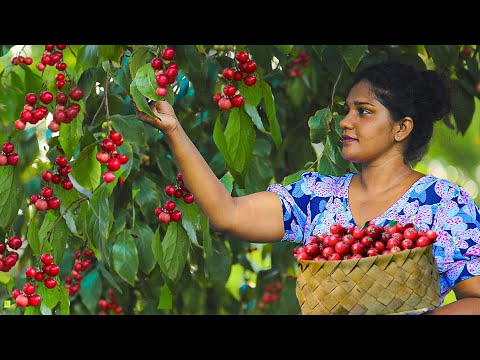 "Lovi"A wonderful fruit that will delight the whole family. @Villagekitchensrilanka83