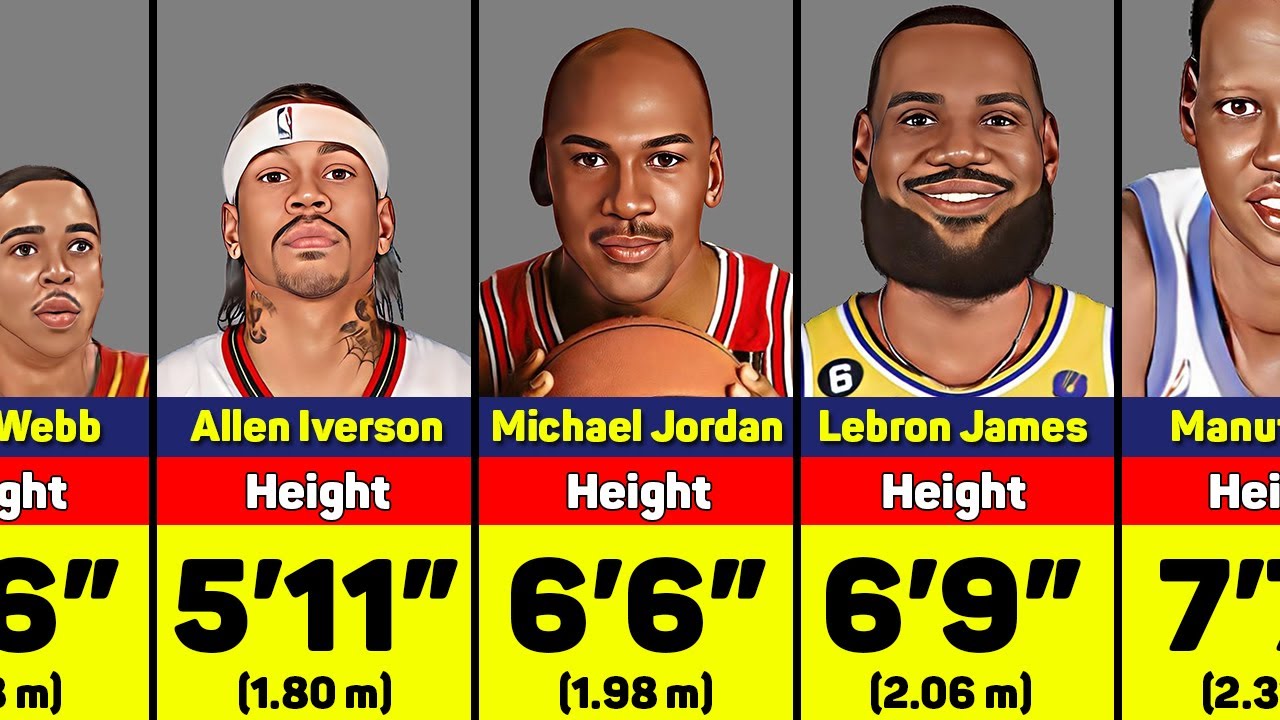 The Best NBA Players by Height