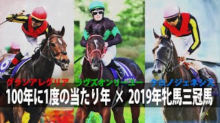 【競馬MAD】伝説の2019年三冠牝馬「100年に一度の当たり年」