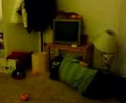 Dwight's pumpkins: part 3