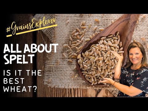 Is Spelt the Healthiest Ancient Grain? | What You Need to Know about SPELT