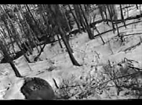 time before memory/childhood