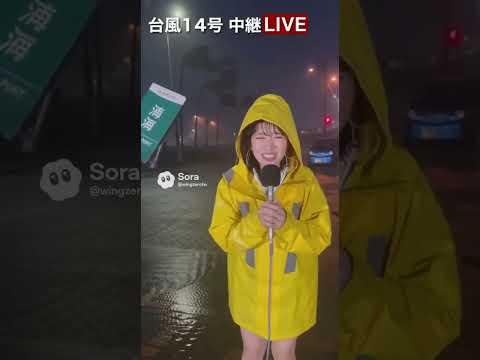 台風中継で頑張る女子アナちゃん