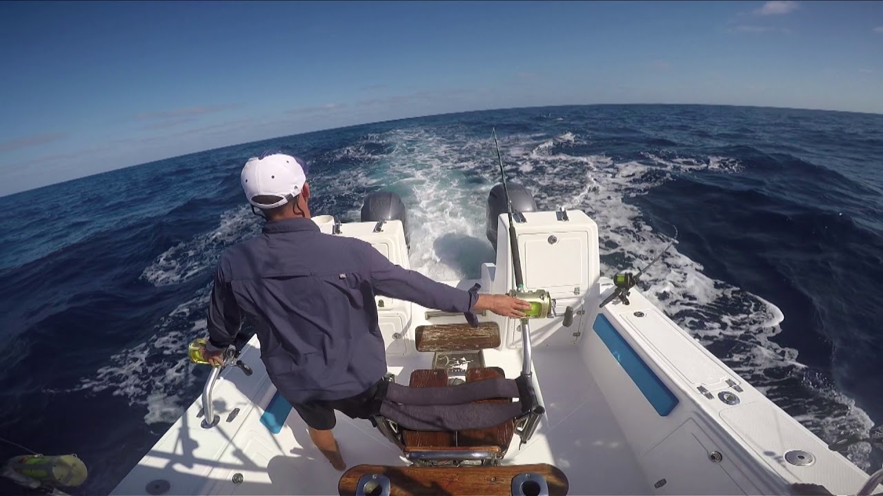 Bahia Mar Boutique Hotel - What you can do when you visit us !