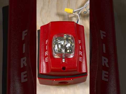 Strobe Demo #shorts