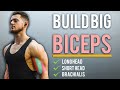 The Most Effective BICEPS Workout For Mass