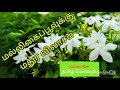 Malligai Poovukku Madurai Vilasam Tamil Song In Digital Music Use