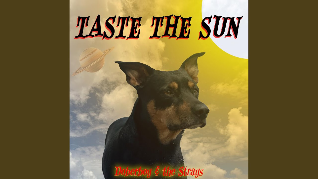 Doberboy & The Strays