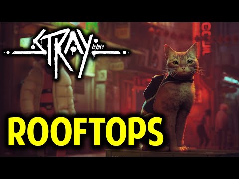 Chapter 5 Rooftops: Gameplay Walkthrough | STRAY