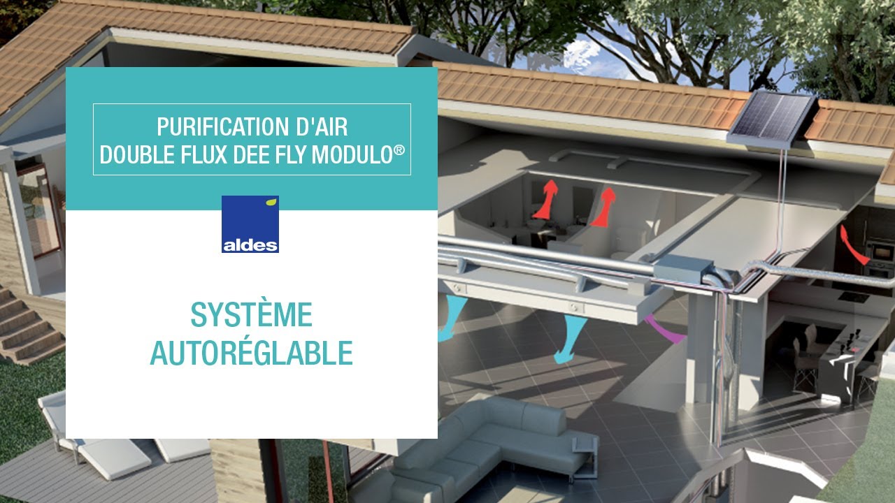 Dee Fly Modulo®