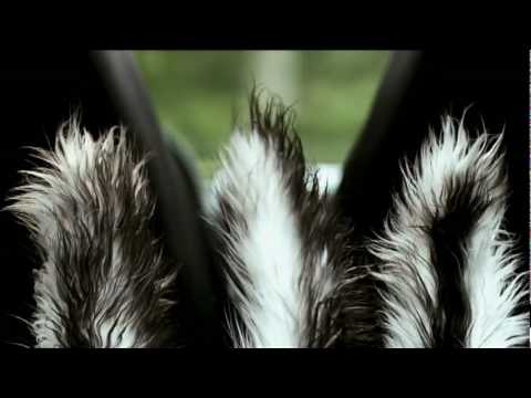 Furry Vengeance | Official Trailer