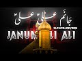 Janum Ali Ali Noha (Slowed+Reverb) Nadeem Sarwar Without Noha