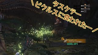 【MHW】part59 ゆうひは、ズッキーニに見えなくもないと思った