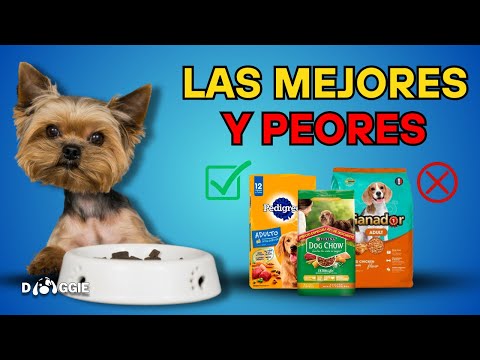 DON'T buy these croquettes! Brands that deceive with the label