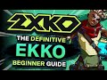 2XKO Der Ultimative Echo Einsteigerleitfaden