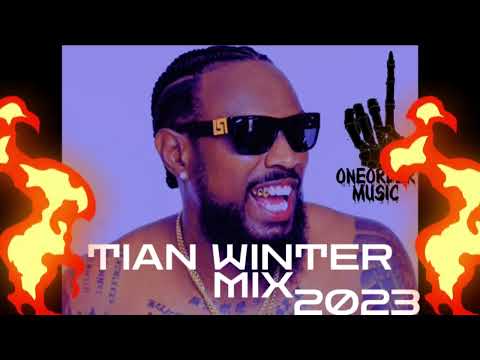 Tian Winter Mix 2023 - The Ultimate Chill & Vibe Compilation