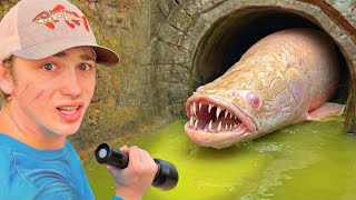 Albino ALIEN FISH Found LIVING in the WILD!