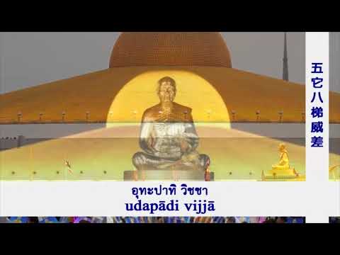 Kinh Chuyển Pháp Luân -Dhammacakkappavattanasutta