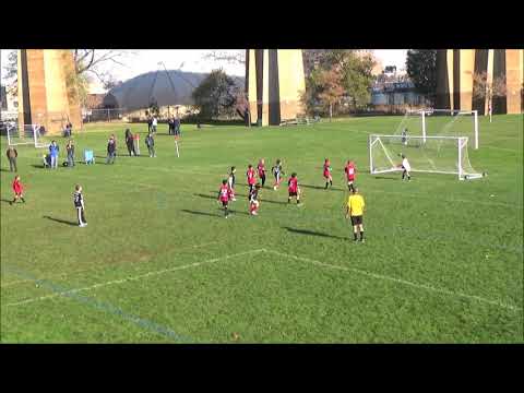 Manhattan Soccer Club Highlights 11 12 17