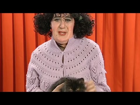 La chatte de Micheline (Les petites annonces d'Elie)
