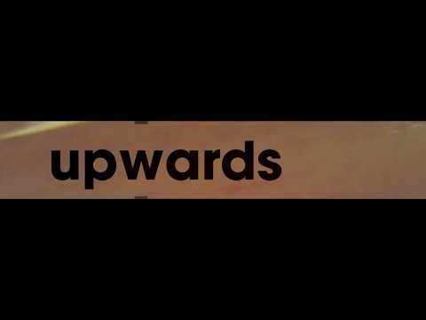 CJ Mirra  - Young Macaw