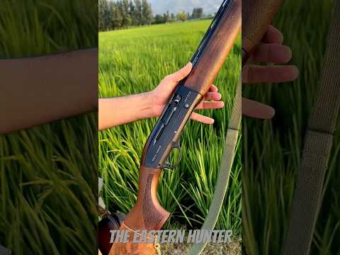 Azarax Shotgun #review