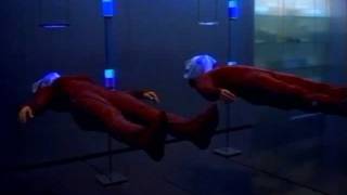 The Cell (2000) Video