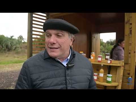 Programa 91 - Decks de la Vuelta del Palmar