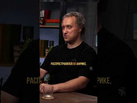 Откуда появился ВИЧ? #наука #эволюция #биология