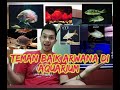 Ikan Hias Buat Teman Arwana