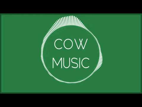 Skrillex & JumoDaddy - Recess VIP (Wilke Mashup)