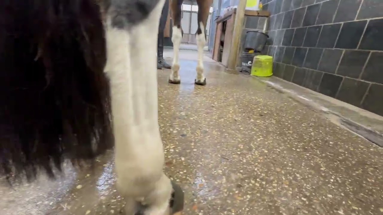 Jesse Bo Duke video 3