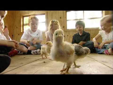 Peter Thornhill Films video.