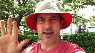 When To Teach Your Child English - Raising Bilingual Kids - The English Fluency Guide