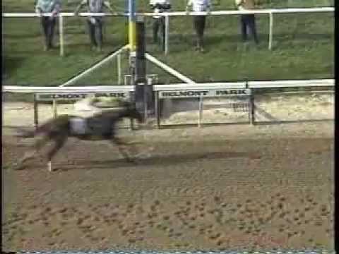 Swale - 1984 Belmont Stakes