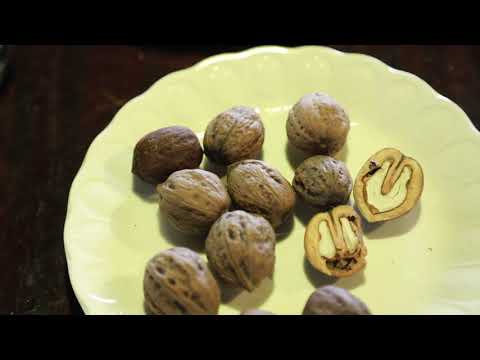 Takeo Ischi / Ishii  石井健雄 - Kaasan No Uta (English Version)