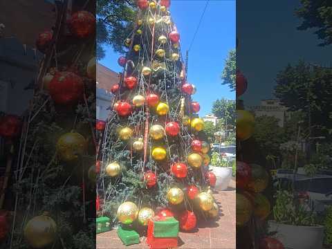 Victoria San Fernando Buenos Aires Argentina ❤️❤️🎄#argentina #travel #buenosaires #viajes #fyp