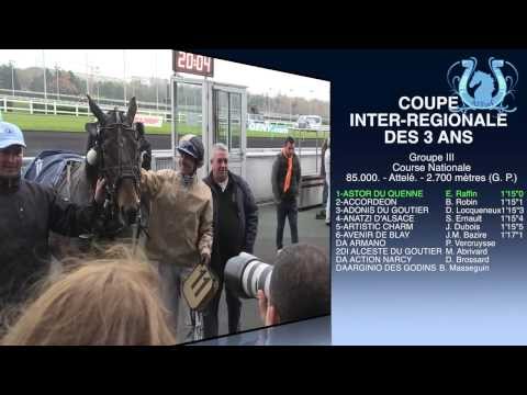 ASTOR DU QUENNE remporte la Coupe Inter-Régionale des 3 Ans - A2TURF.COM