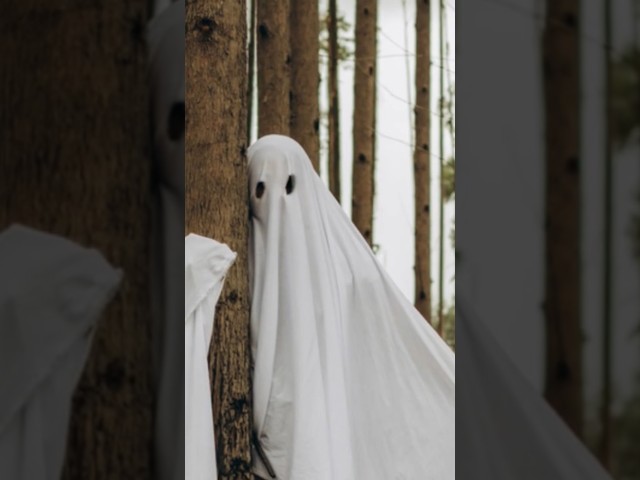 Vídeo relacionado con Atosa disfraz ganster/fantasma adulto hombre adulto M
