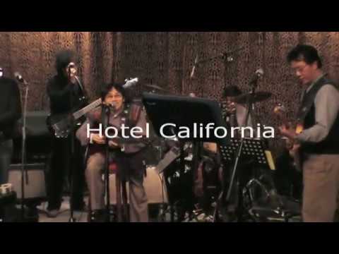 Teddy Robin and friends - Hotel California - Fo Tan