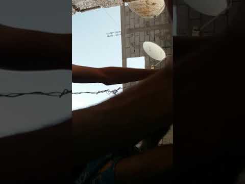 فضيحة زامل مغربي (مشاو رجال)