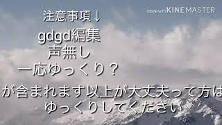 【色々な報告動画】
