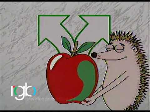 24 Xummiemu   Kif ghandu jintghazel l iskart