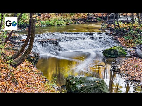 Visit Every Single American National Park!