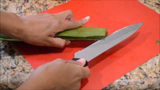 How to Cut an Aloe Vera Leaf and Make Aloe Gel