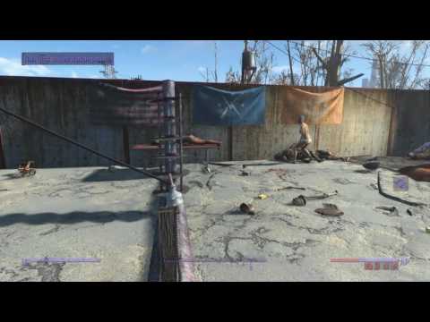 Fallout 4- Arena Execution